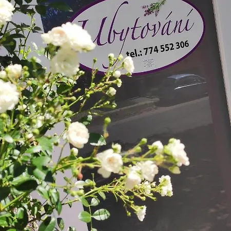 Apartment Cafe U Kordulky Ratiskovice